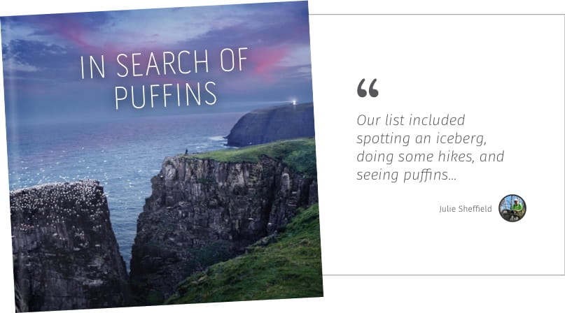 In search of puffins