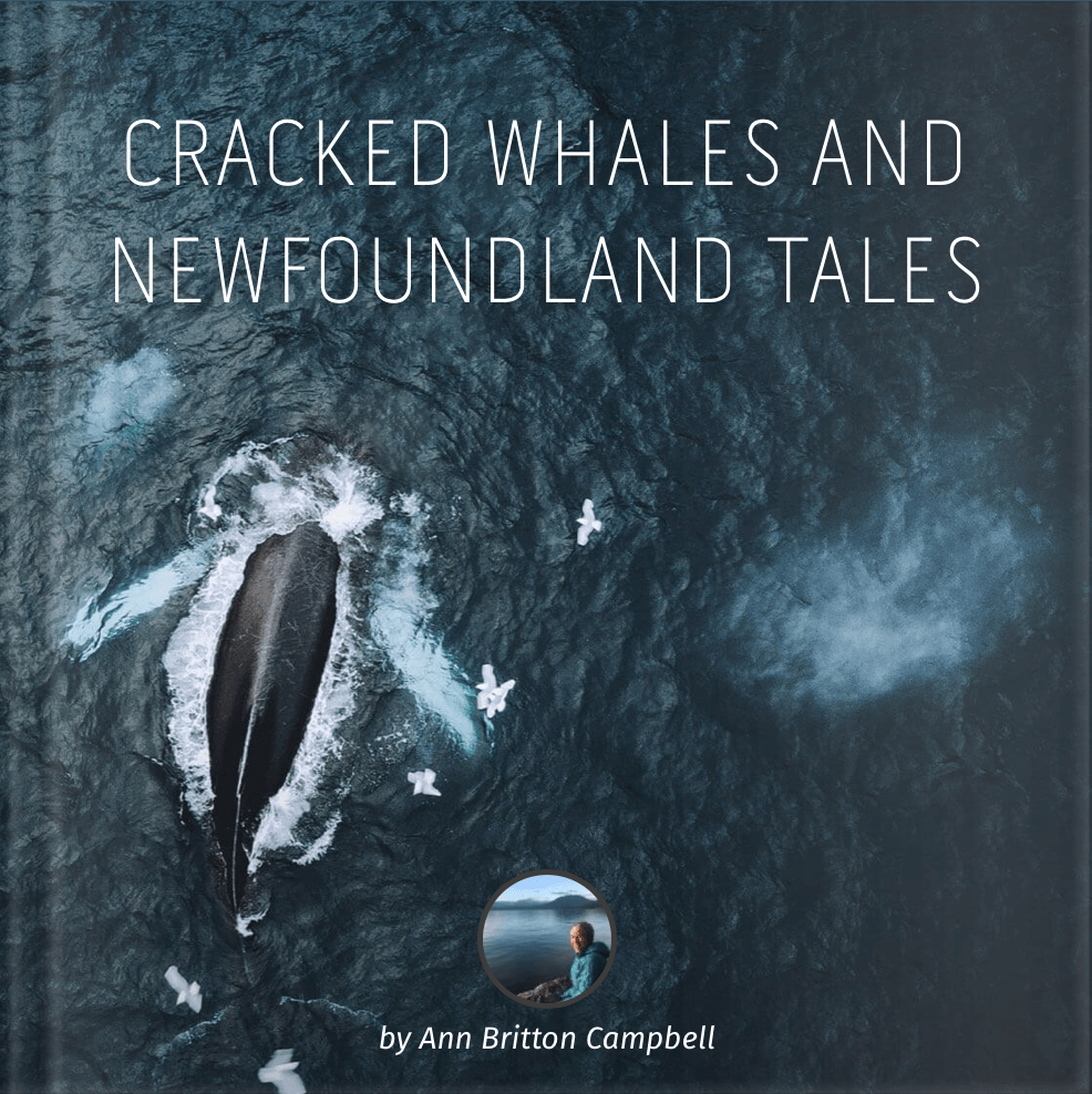 Cracked Whales And Newfoundland Tales