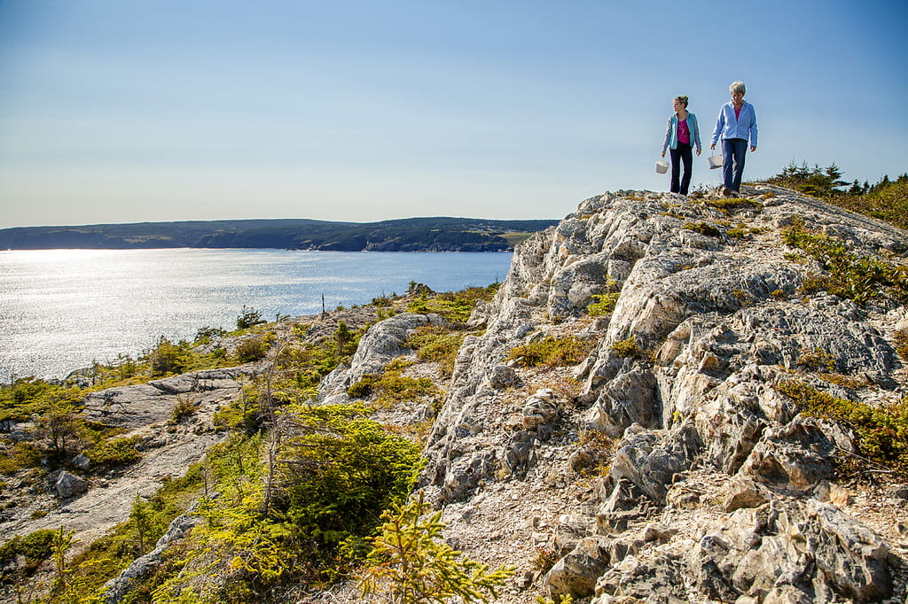 Ontwikkelen Verantwoordelijk persoon verbergen Five Great Fall Hikes in Newfoundland & Labrador - Newfoundland and  Labrador, Canada
