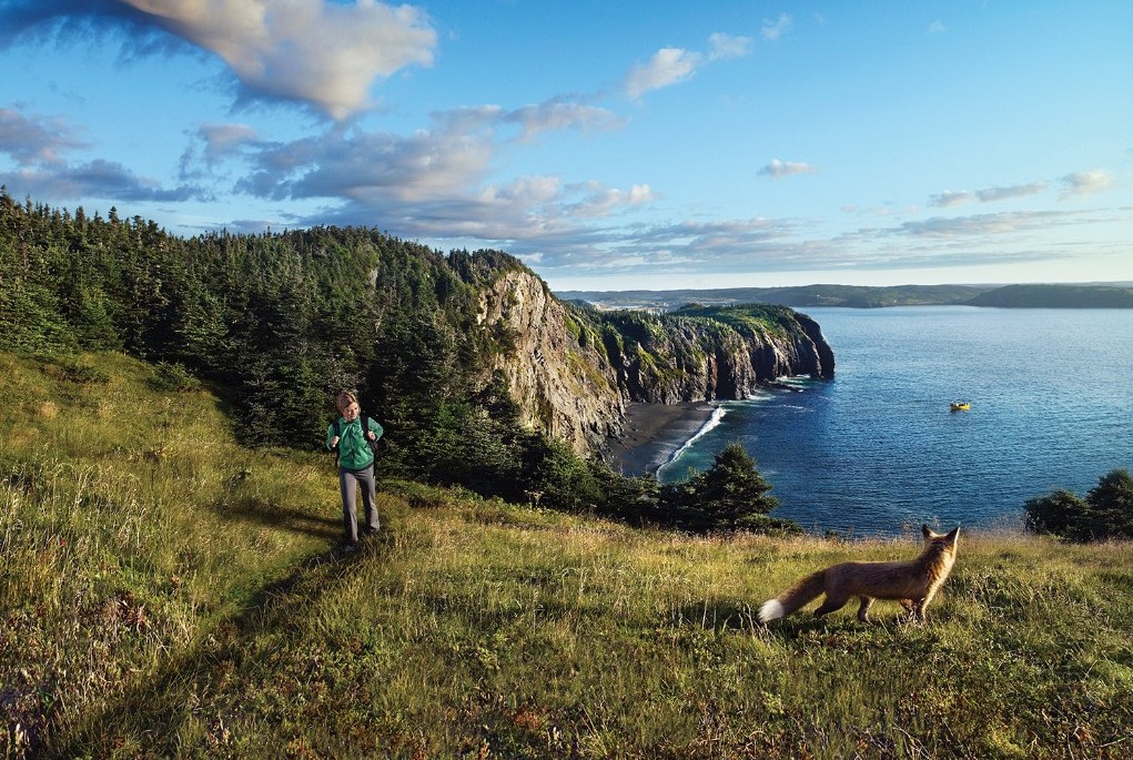 Ontslag nemen Stationair Haarzelf Five Great Fall Hikes in Newfoundland & Labrador - Newfoundland and  Labrador, Canada