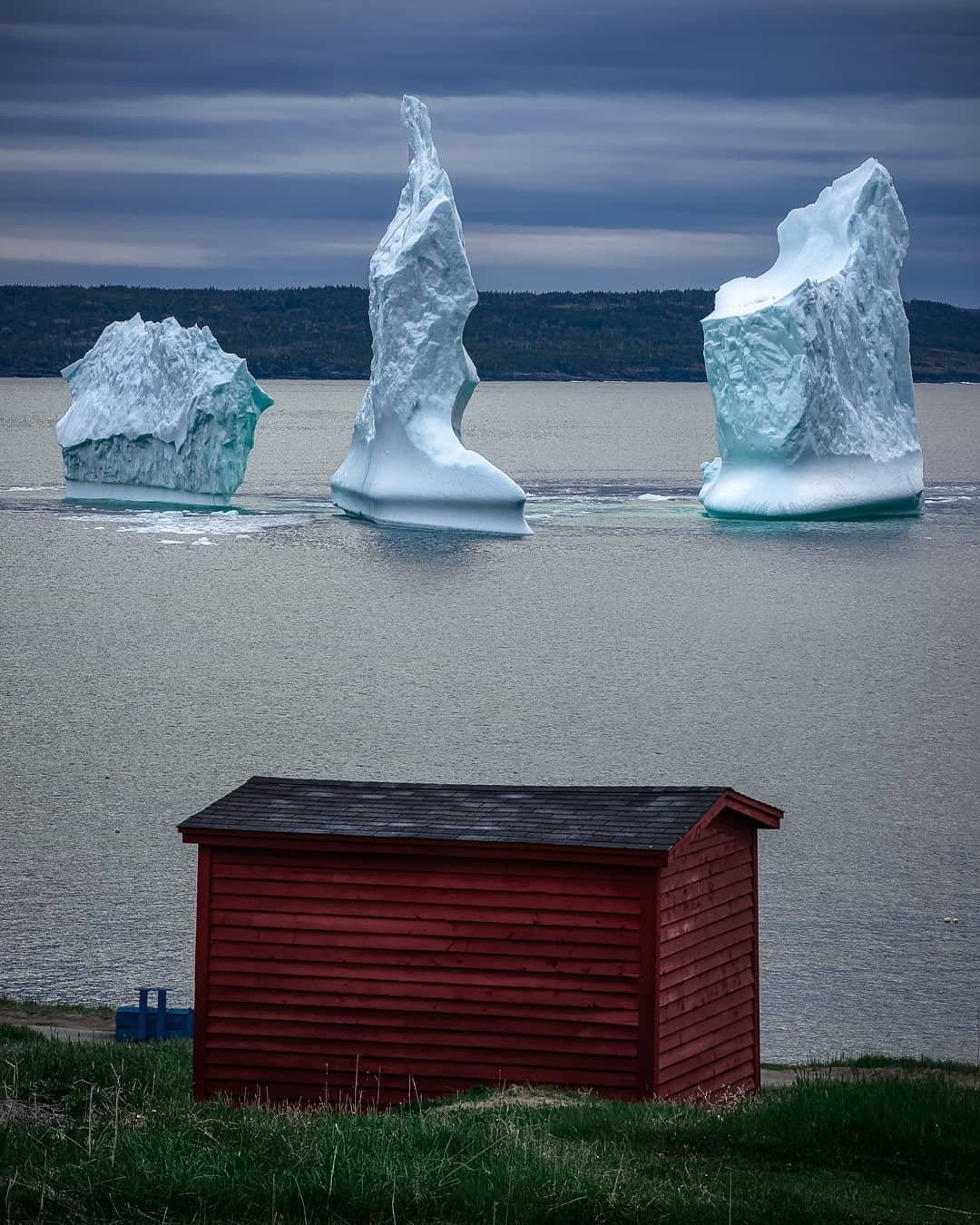 Amherst Cove Iceberg 2018 