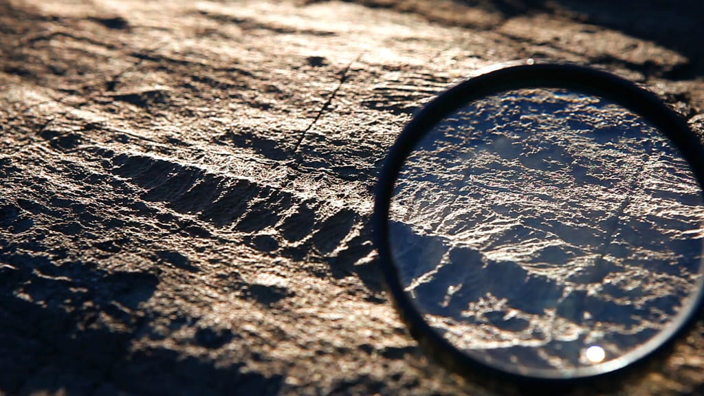 Viewing a fossil with a magnifying glass at Mistaken Point