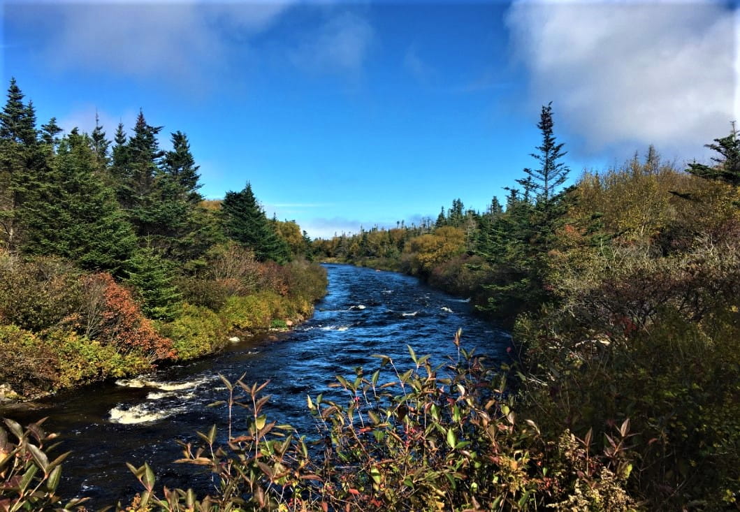Horse Brook Walking Trail in Fortune, Newfoundland and Labrador
